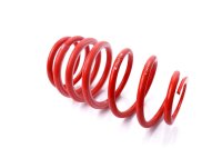 MTS Technik Ricambio Molla - GWFE57VA