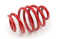 MTS Technik Ricambio Molla - GWFE04HA