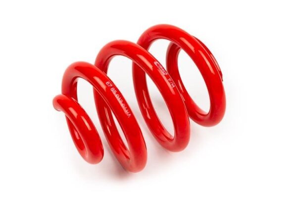 MTS Technik Ricambio Molla - GWFE19HA