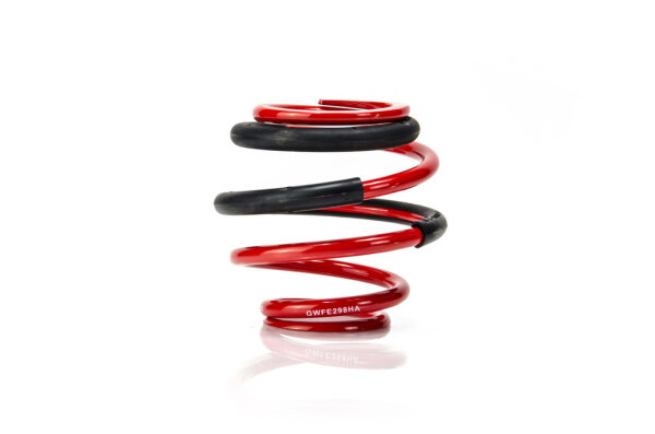 MTS Technik Ricambio Molla ausiliaria - GWFE298HA