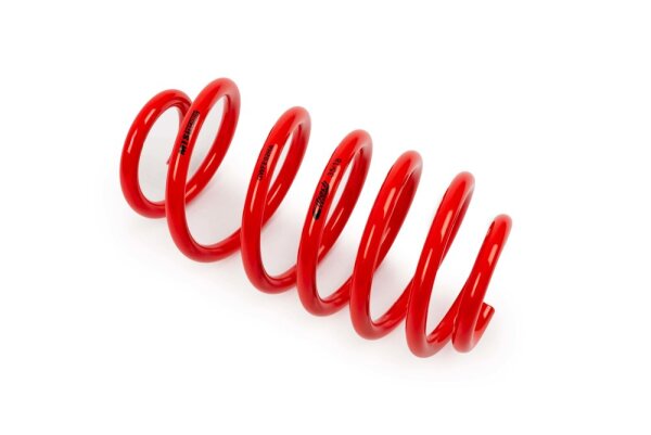 MTS Technik Ricambio Molla - GWFE02HA