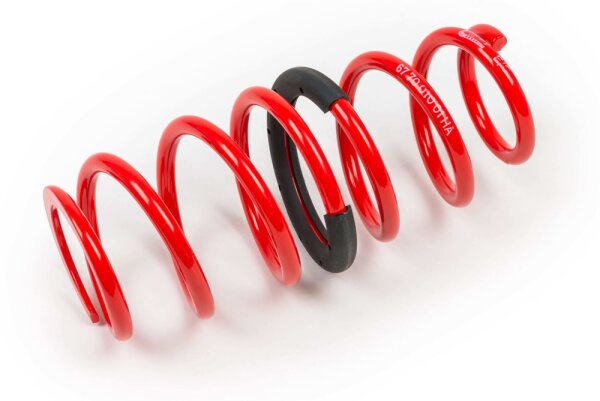 MTS Technik Ricambio Molla - GWFE15HA