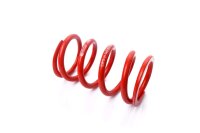 MTS Technik Ricambio Molla - GWFE163