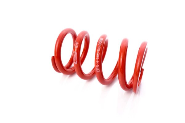 MTS Technik Ricambio Molla - GWFE164