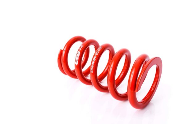 MTS Technik Ricambio Molla - GWFE189