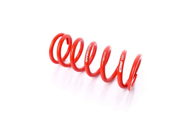 MTS Technik Ricambio Molla - GWFE205