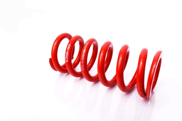 MTS Technik Ricambio Molla - GWFE207