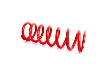 MTS Technik Ricambio Molla - GWFE214