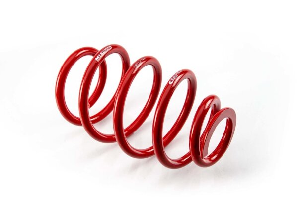 MTS Technik Ricambio Molla - GWFE271VA