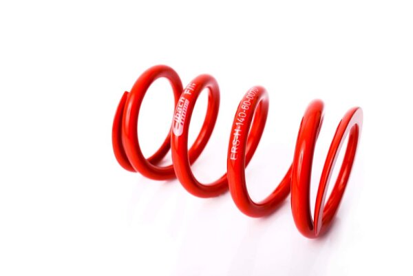 MTS Technik Ricambio Molla - GWFE87