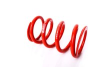 MTS Technik Ricambio Molla - GWFE87