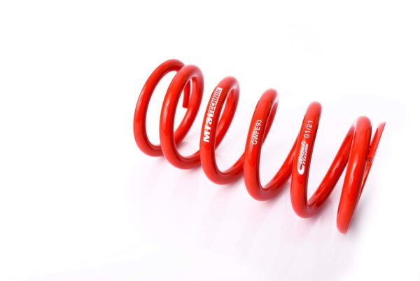 MTS Technik Ricambio Molla - GWFE93