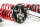 Assetto a ghiera MTS Street Inox compatibile con BMW 5 (E39) 540 i 210 KW XMTSGWBM101