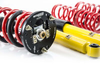 Assetto a ghiera MTS Street Gold compatibile con Audi TT...