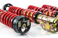 Assetto a ghiera MTS Street Gold compatibile con Seat...