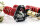 Assetto a ghiera MTS Stance Gold compatibile con Mini MINI Cabriolet (R57) Cooper SD 105 KW MTSGWMM03-S