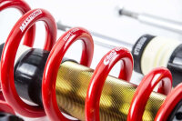 Assetto a ghiera MTS Street Gold compatibile con Nissan 370Z Coupé (Z34) 3.7 244 KW MTSGWNI02