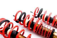 Assetto a ghiera MTS Street Gold compatibile con BMW 5...