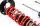 Assetto a ghiera MTS Comfort Gold compatibile con BMW 3 (E46) 316 i - 77 KW MTSGWBM118-C