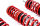 Assetto a ghiera MTS Comfort Inox compatibile con Seat CORDOBA (6K) 1.9 D - 50 KW XMTSGWVW27-C