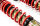 Assetto a ghiera MTS Street Gold compatibile con BMW 3 Compact (E36) 318 ti - 103 KW MTSGWBM117